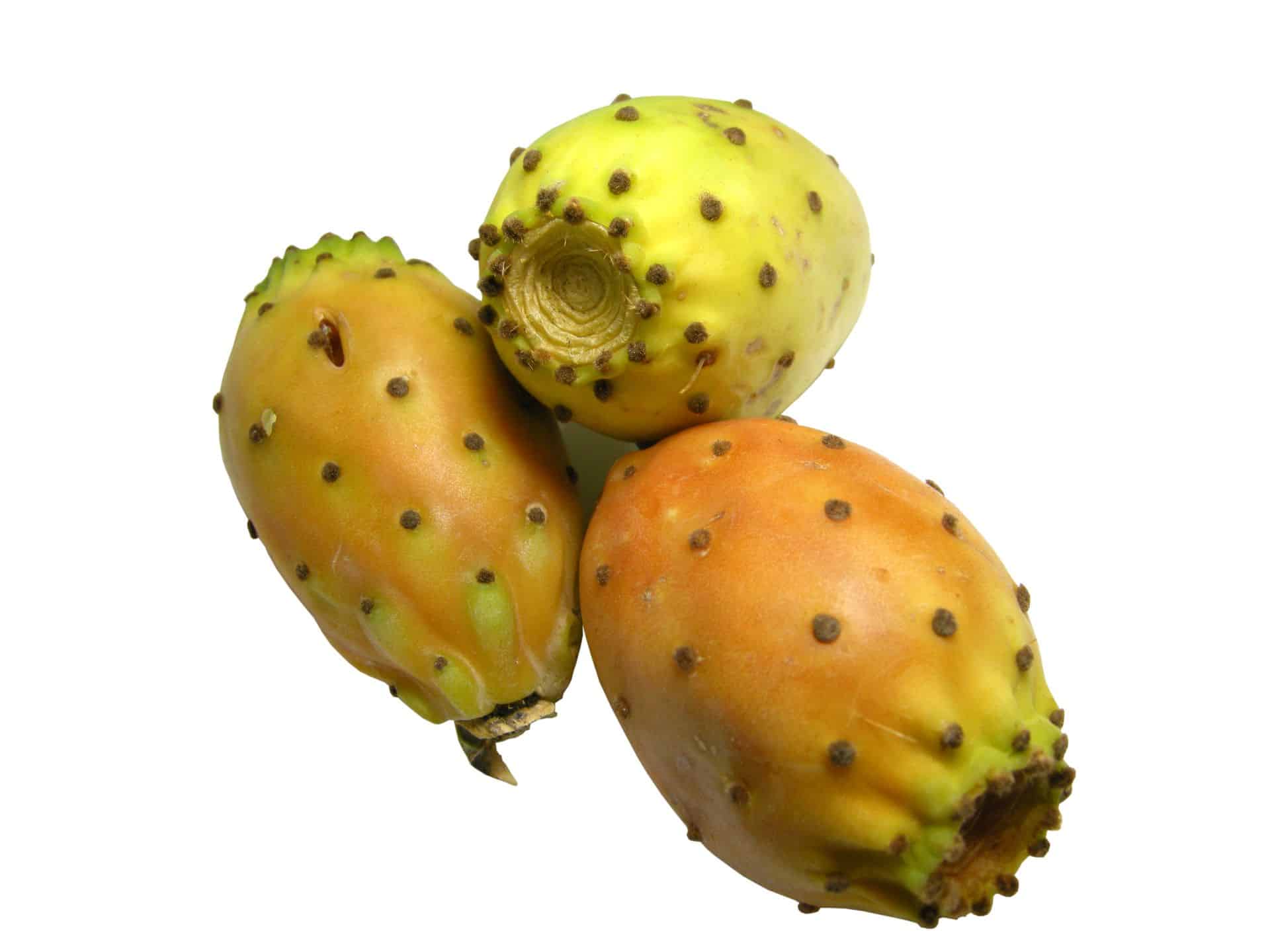 Fruits Prickly Pears