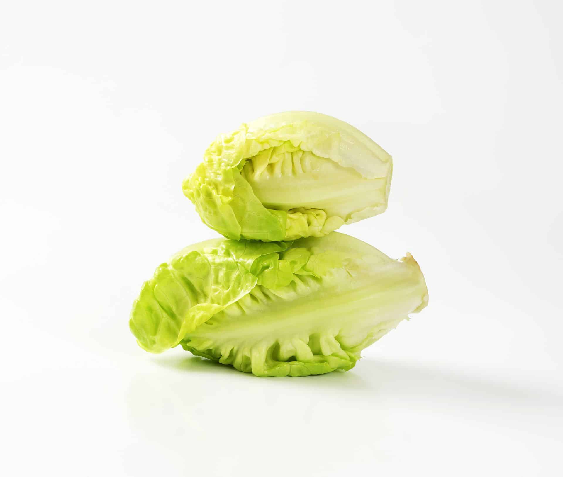 Vegetables - Baby Gem Lettuce